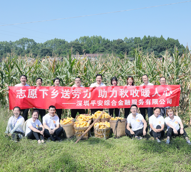 志愿者协会——员工公益平台_社会责任_平安金服官网